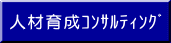 人材育成ｺﾝｻﾙﾃｨﾝｸﾞ